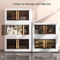 Stackable Multi-Purpose Storage Box with Transparent Doors