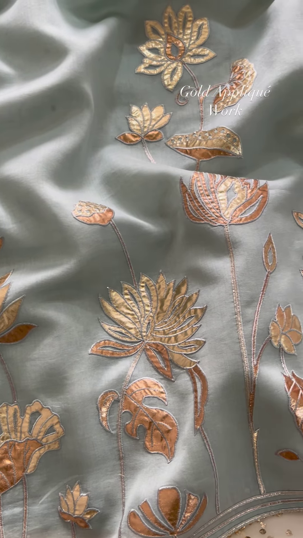 Luxurious Appliqué Work Dupatta