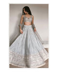 Silver Grey Sequins Embroidered Lehenga Choli with Net Dupatta
