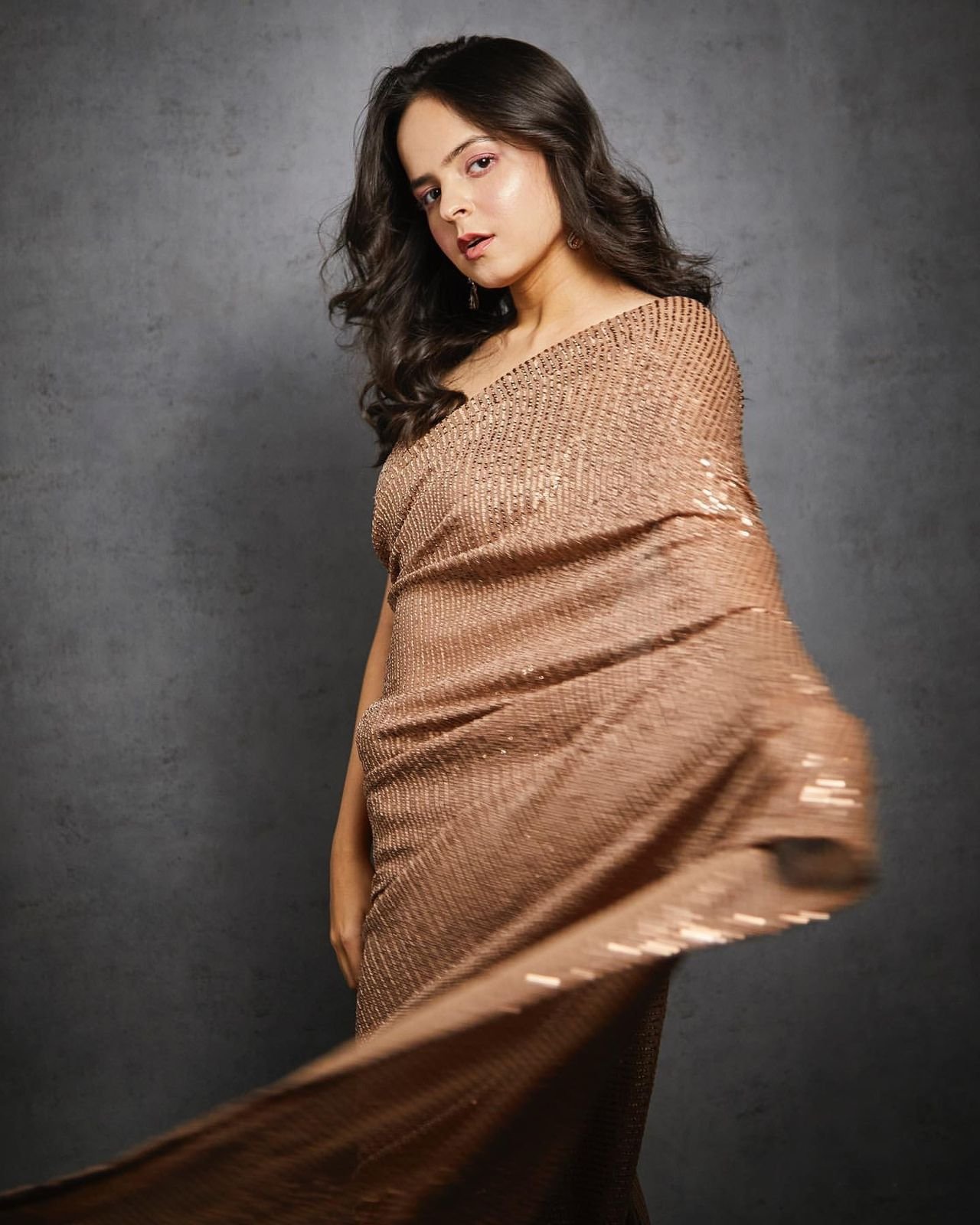 Brown Color Heavy Sequence Work Georgette Saree - Image 3