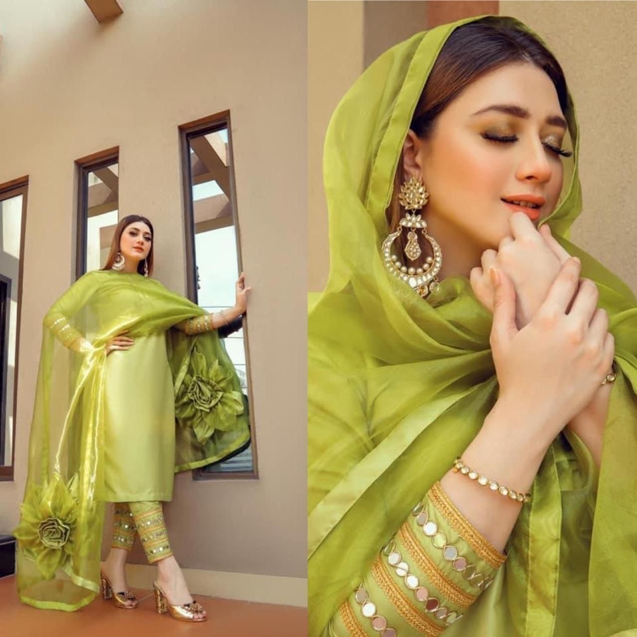 Organza Parrot Color Embroidered Salwar Suit