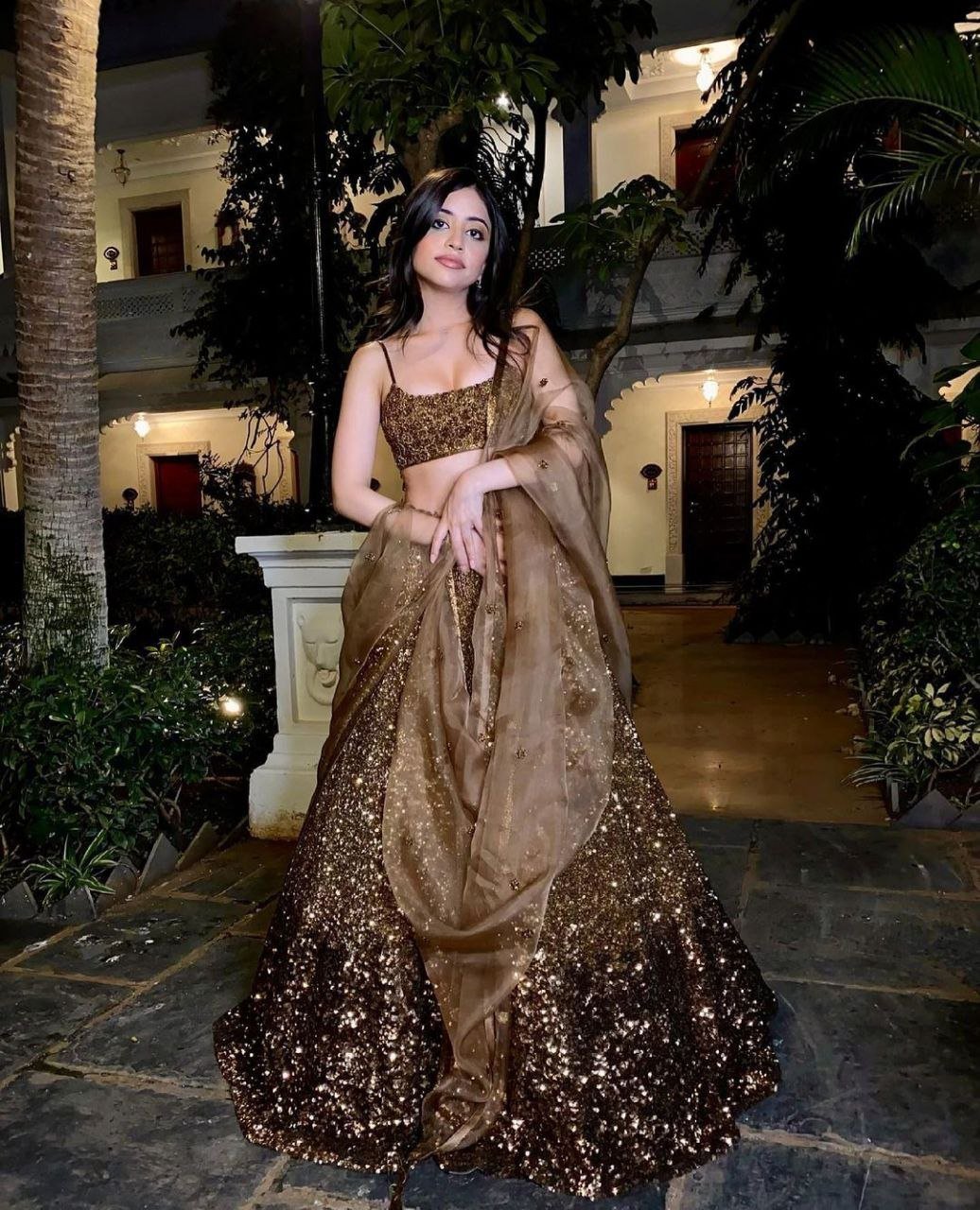 Brown Color Heavy Work Lehenga Choli - Image 2